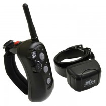 D.T. Systems Rapid Access Pro Trainer