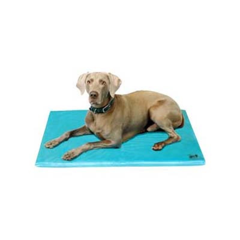 Soothsoft Innovations Canine Cooler